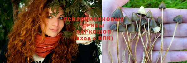 героин Кукмор
